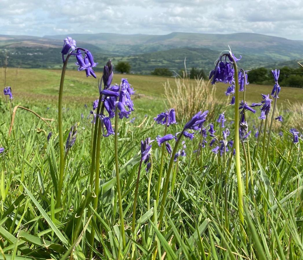 Willa Pant Llwyd Farm Llangynidr Zewnętrze zdjęcie