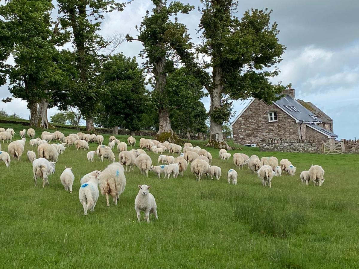Willa Pant Llwyd Farm Llangynidr Zewnętrze zdjęcie