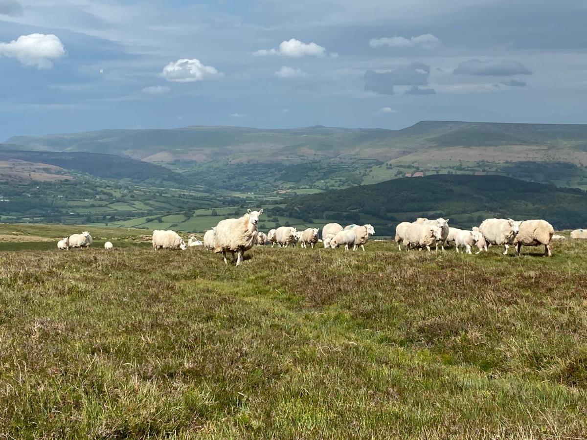 Willa Pant Llwyd Farm Llangynidr Zewnętrze zdjęcie