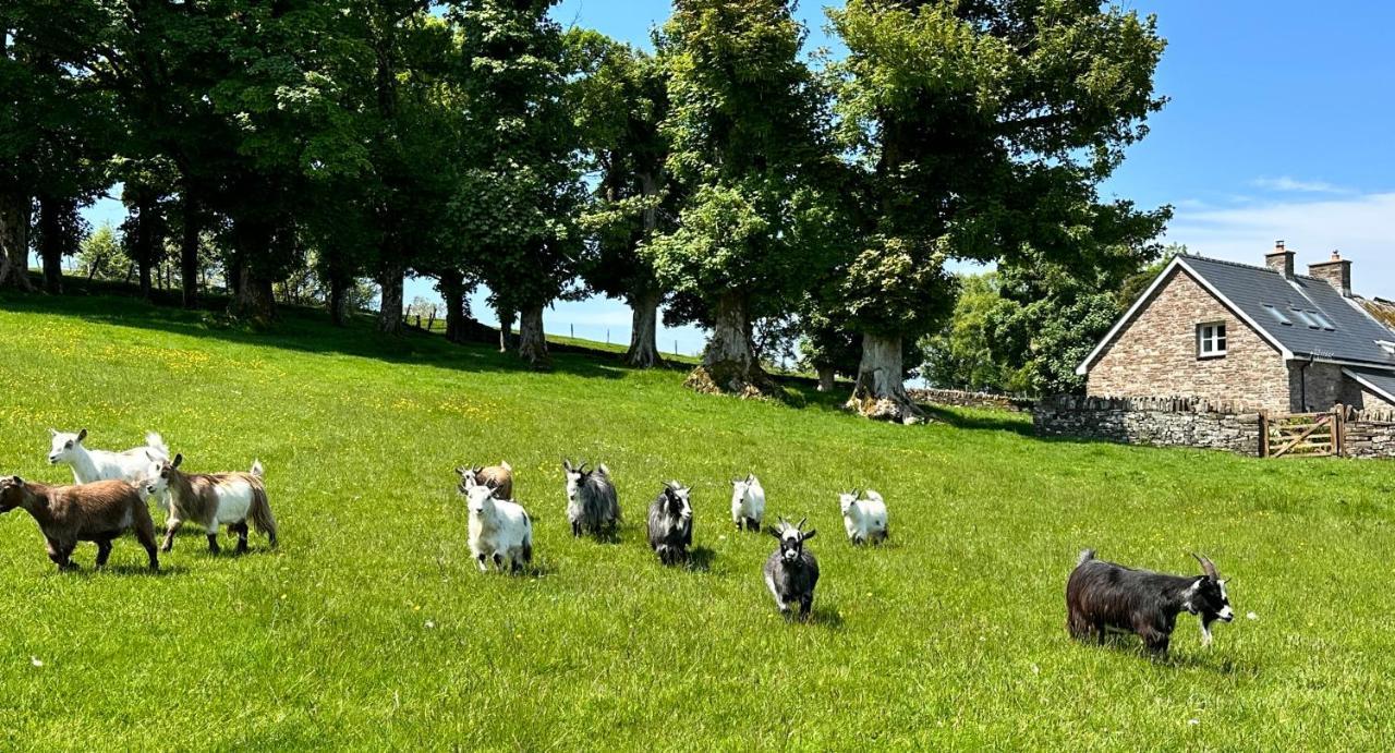 Willa Pant Llwyd Farm Llangynidr Zewnętrze zdjęcie